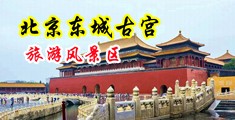 啊啊啊啊,我要喷水了中国北京-东城古宫旅游风景区